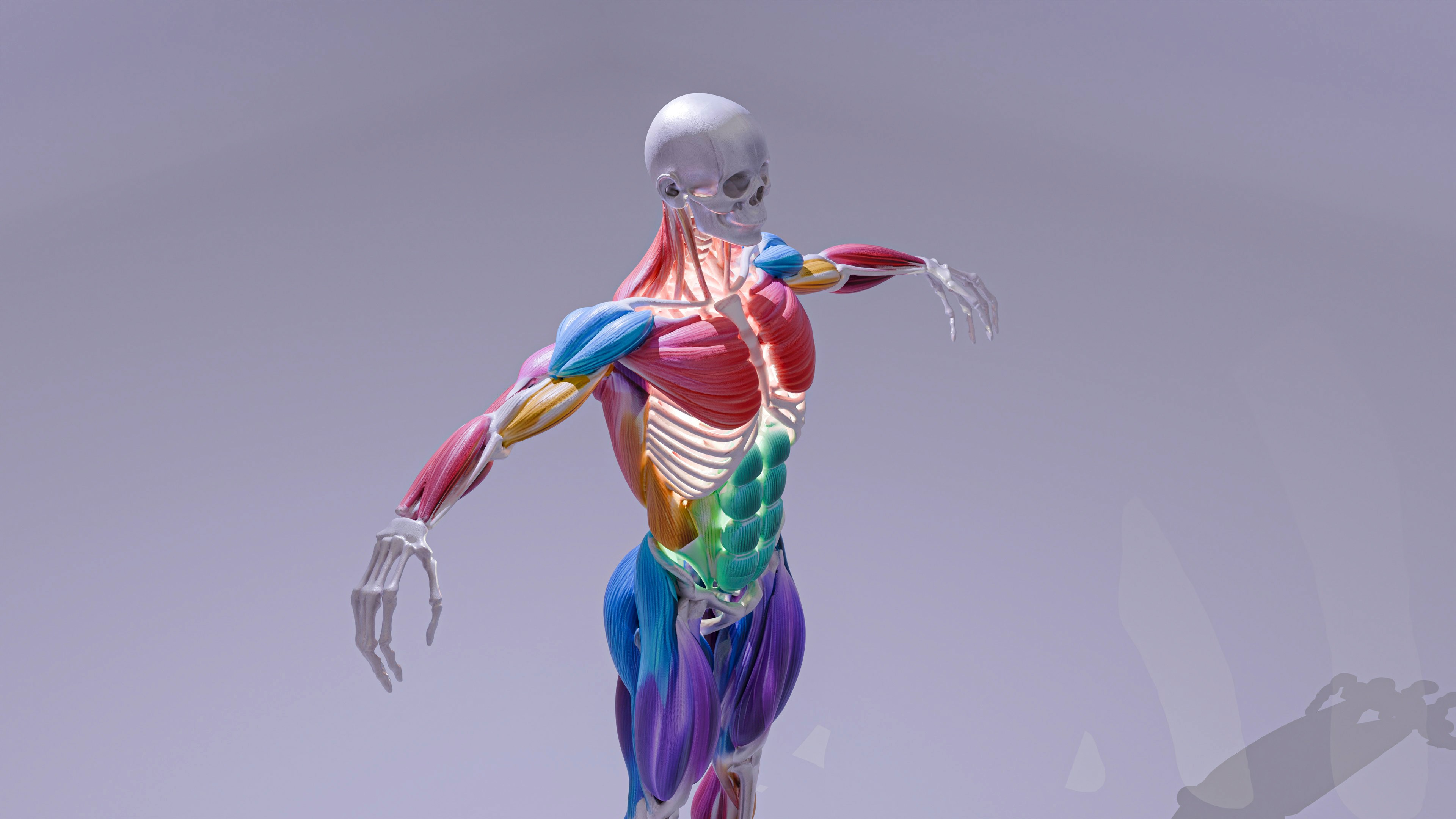 Muscle Gravity Relationship: What Happens When the Conversation Stops