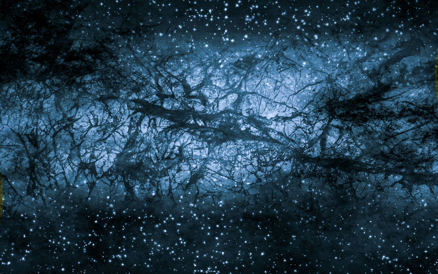 Bullet Cluster Study Challenges Dark Matter Existence