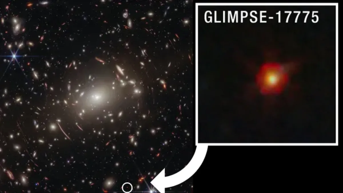 The Little Red Dots Mystery: Webb Telescopes Latest Puzzle