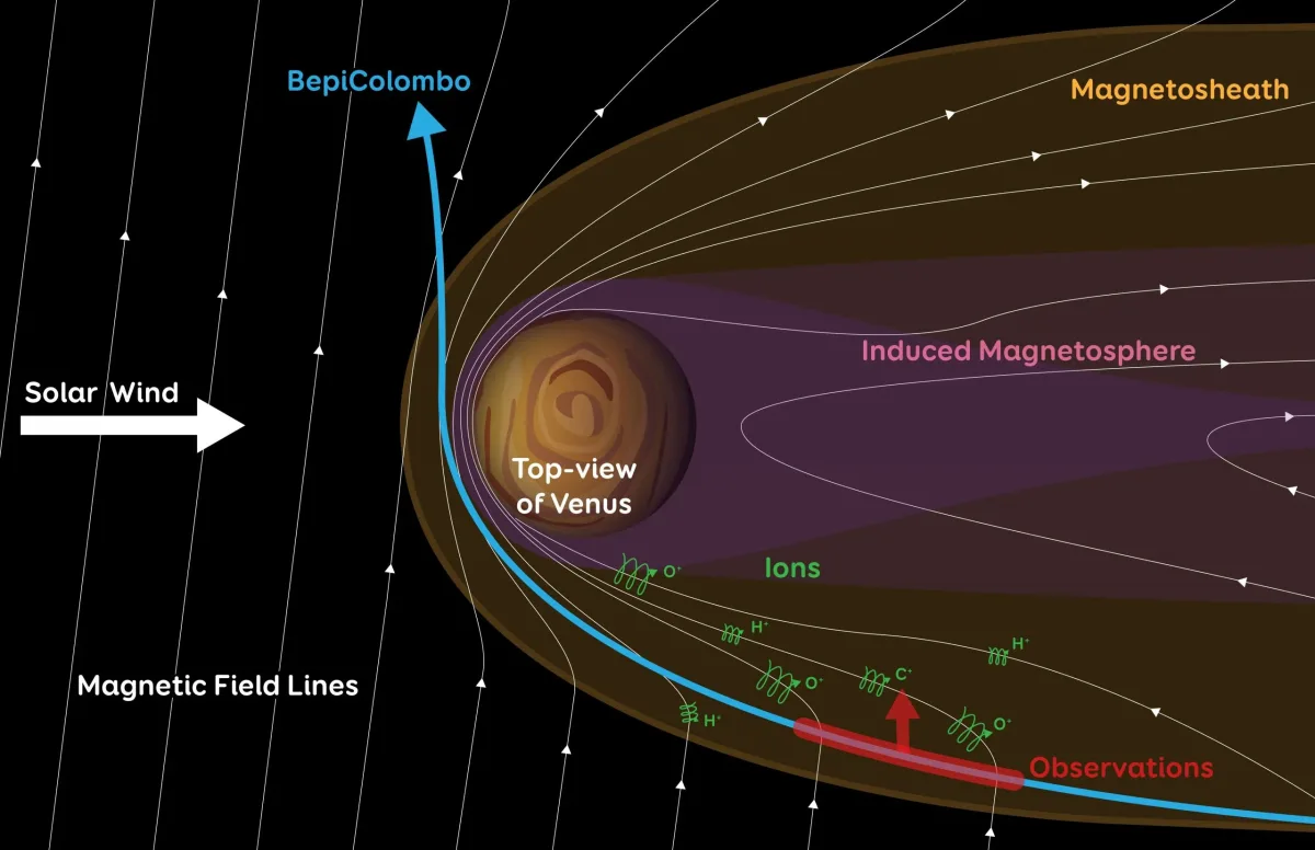 How Atmospheric Loss Shaped Venus: Toxic Planet History