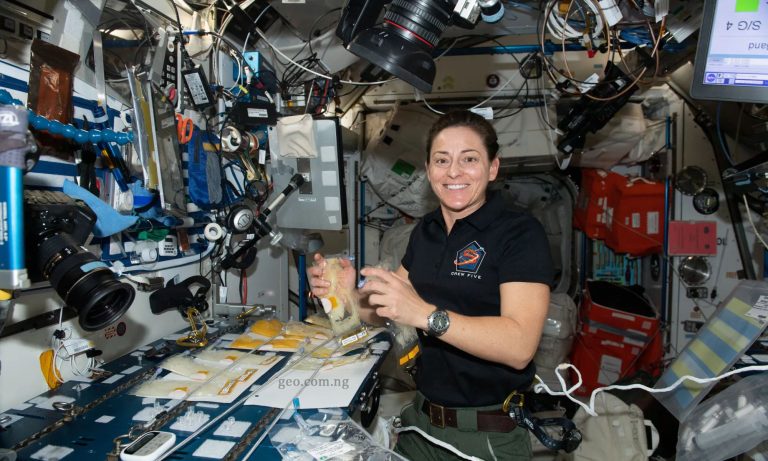 NASA Working to Address Nutrient Loss in Astronaut Food for Long Missions