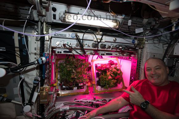 NASA Working to Address Nutrient Loss in Astronaut Food for Long Missions