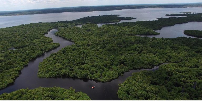 Aerial Shot of Amazon rainforest in Brazil, South America. Facts About the Amazon Rainforest in Brazil