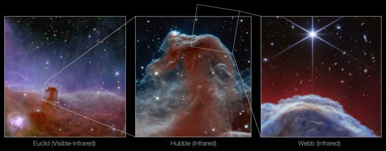 Exceptionally Detailed Image of the Horsehead Nebula Captured by Webb