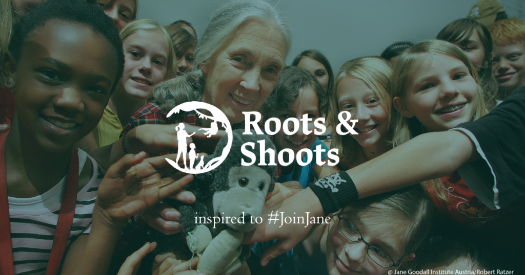 Roots & Shoots