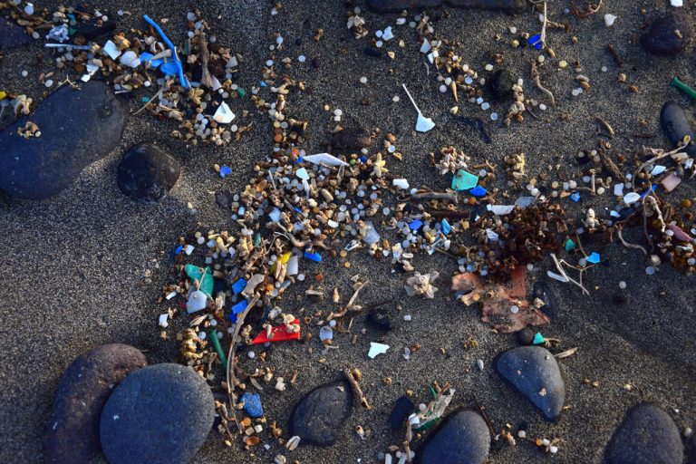 Small plastic parts and microplastics in the sand of Famara beach, Lanzarote, Spain.