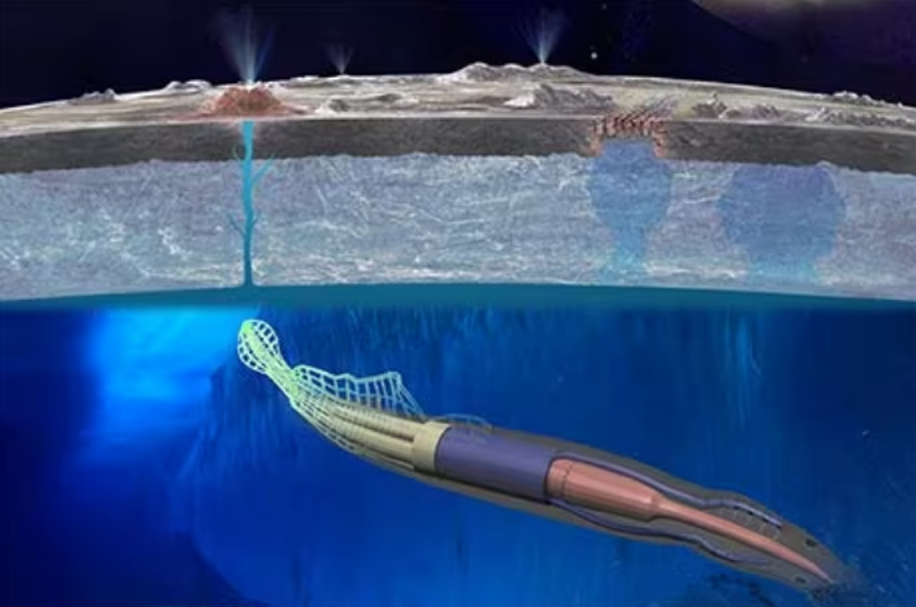 A Hopping Robot to Enhance Europa's Exploration Using Locally Harvested Water