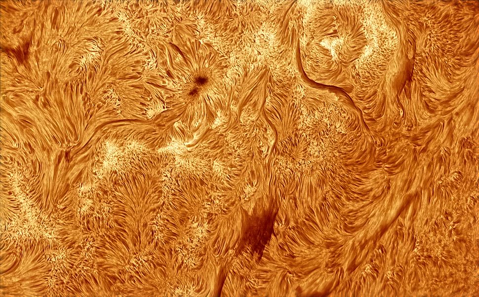 Here's a close-up view of sunspots and solar filaments. Sunspots are dark spots on the sun's surface. They are cooler areas compared to the surrounding regions. Solar filaments are clouds of gas that float above the sun's surface. They look like dark lines when seen against the bright sun. This image was captured by Mark Johnston (@azastroguy).