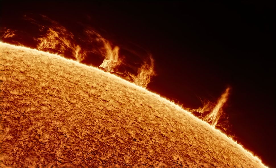 Solar prominences seem to move across the edge of the sun. (Image credit: Mark Johnston (@azastroguy))