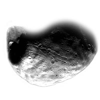 Mars' moon Phobos