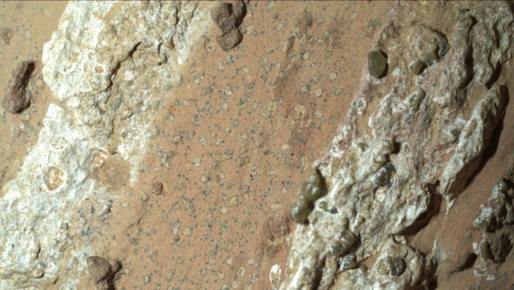 NASA's Mars Rover 'Percy' Finds First Signs of Past Life