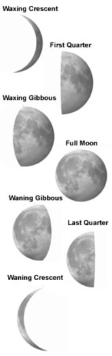 Phases of the moon