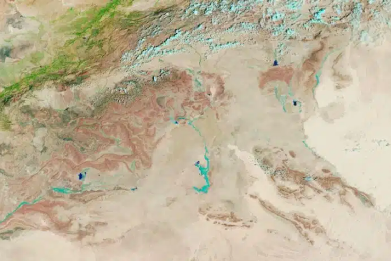 The Sahara Desert Turns Green After Unusual Rainfall A Rare Transformation