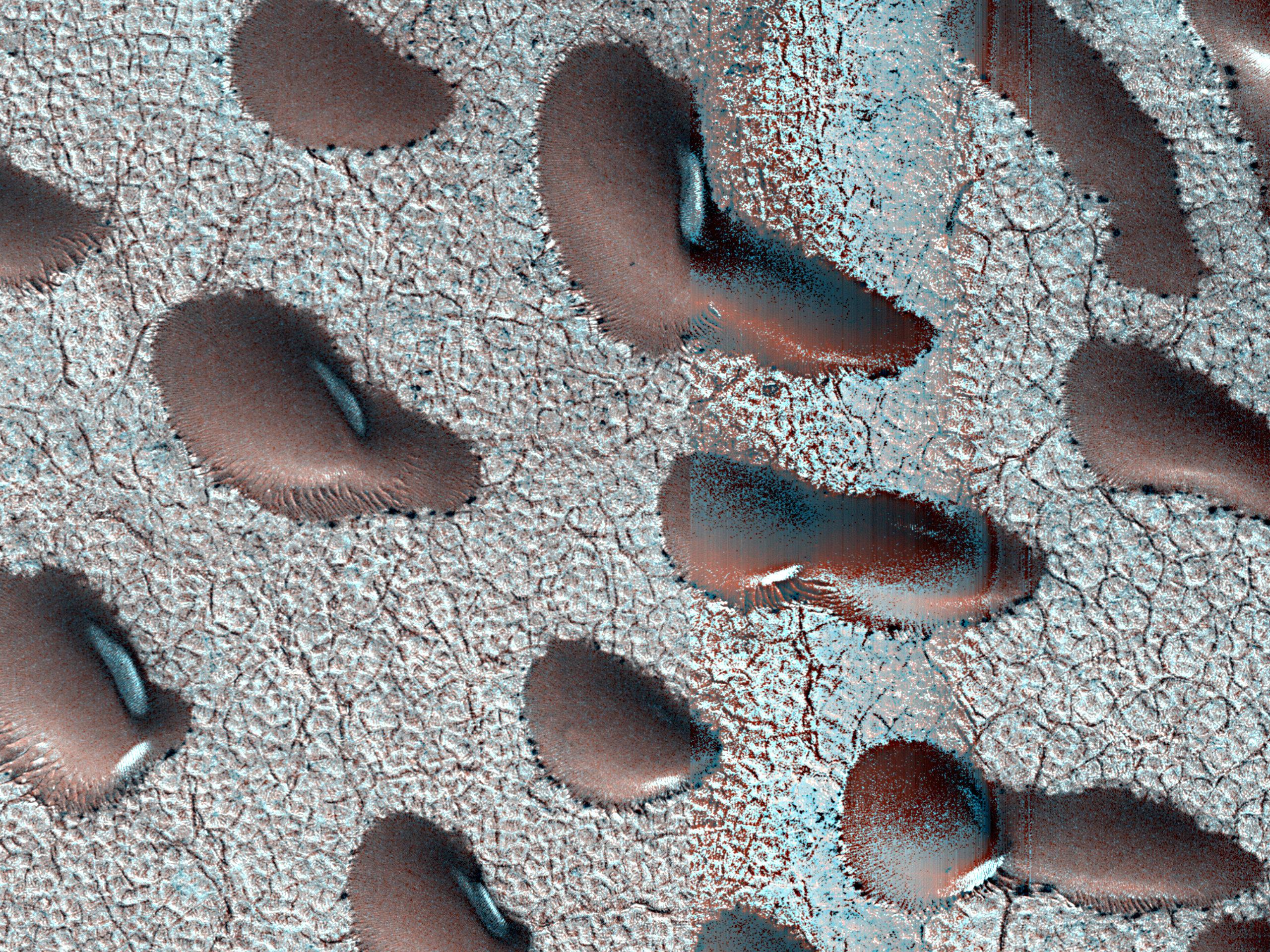 Giant 'Kidney Beans' Discovered in Mars Satellite Images Could Point to Water and Life