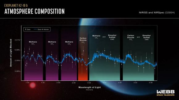 Are Ocean Worlds Capable of Supporting Life?